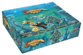 Neopets Battledome TCG: Curse of Maraqua Booster Display (Pre-Order)