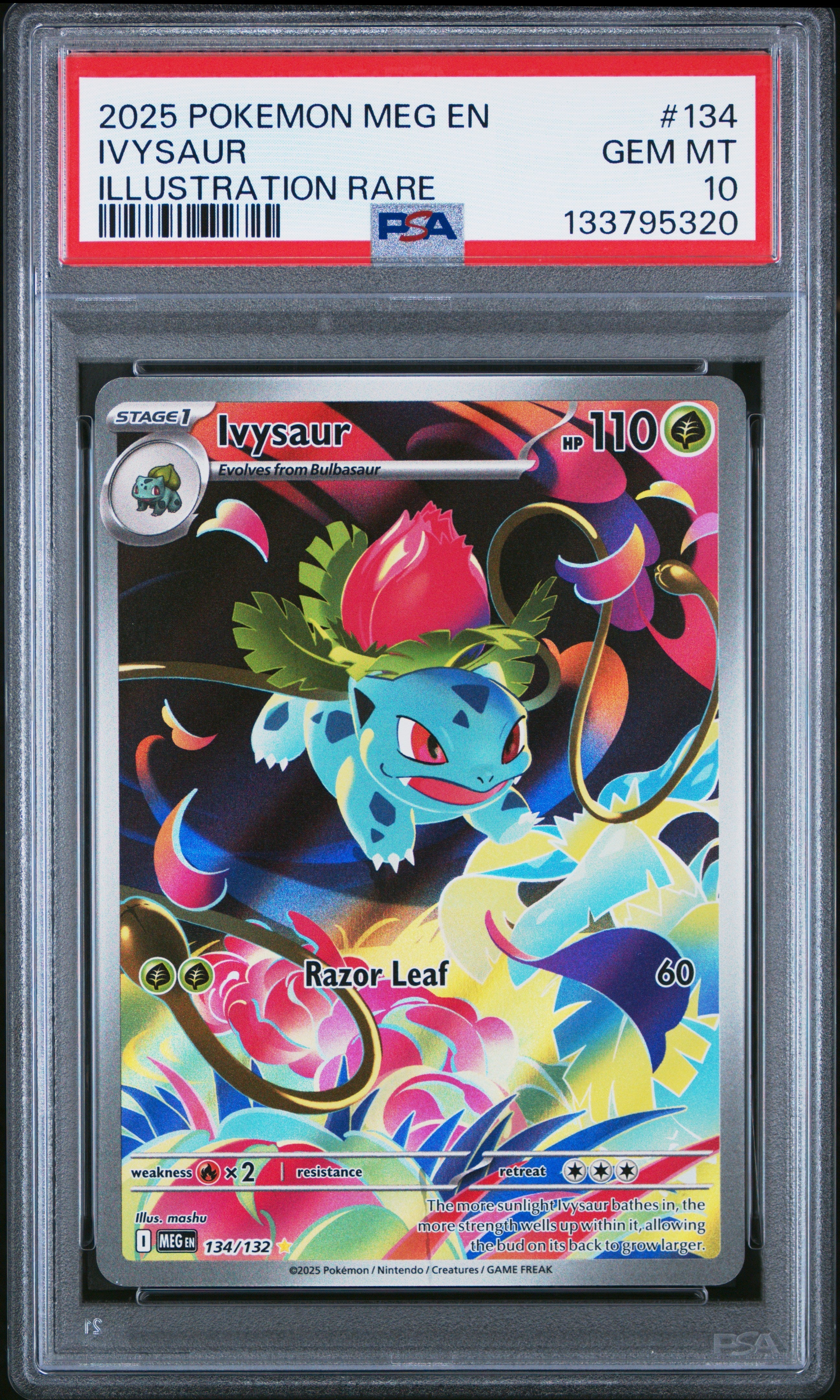 IVYSAUR ILLUSTRATION RARE 2025 POKEMON MEG EN-MEGA EVOLUTION PSA GEM MT 10
